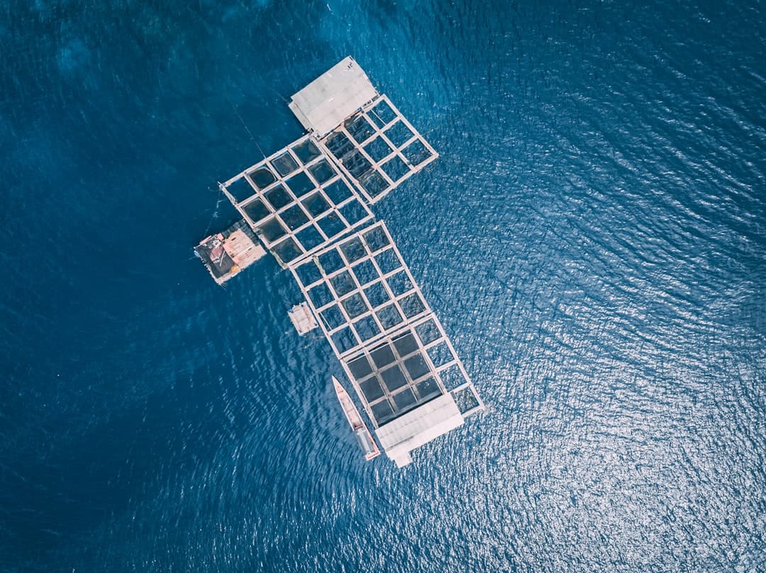 Solar Surges as Storage Becomes Grid's New Backbone