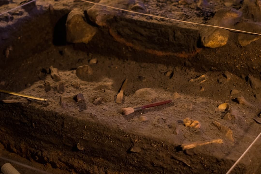 AI Finds What Geologists Missed