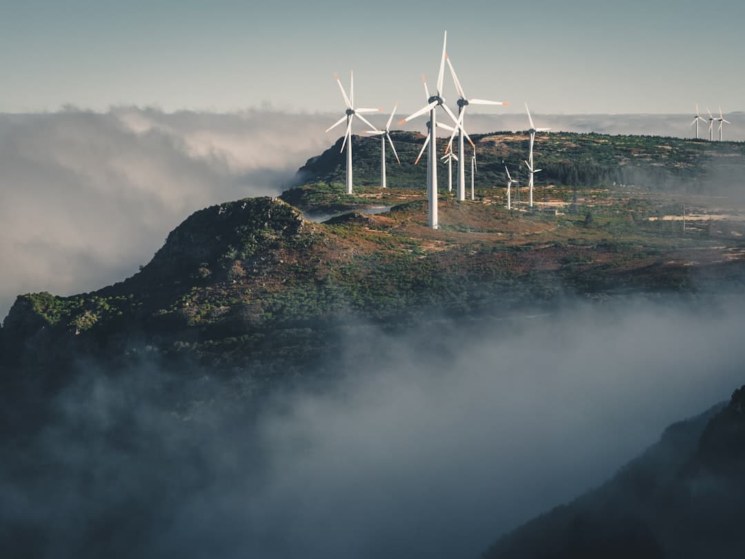 Clean Energy and Uranium Sell Off Sharply as Traditional Energy Holds Steady