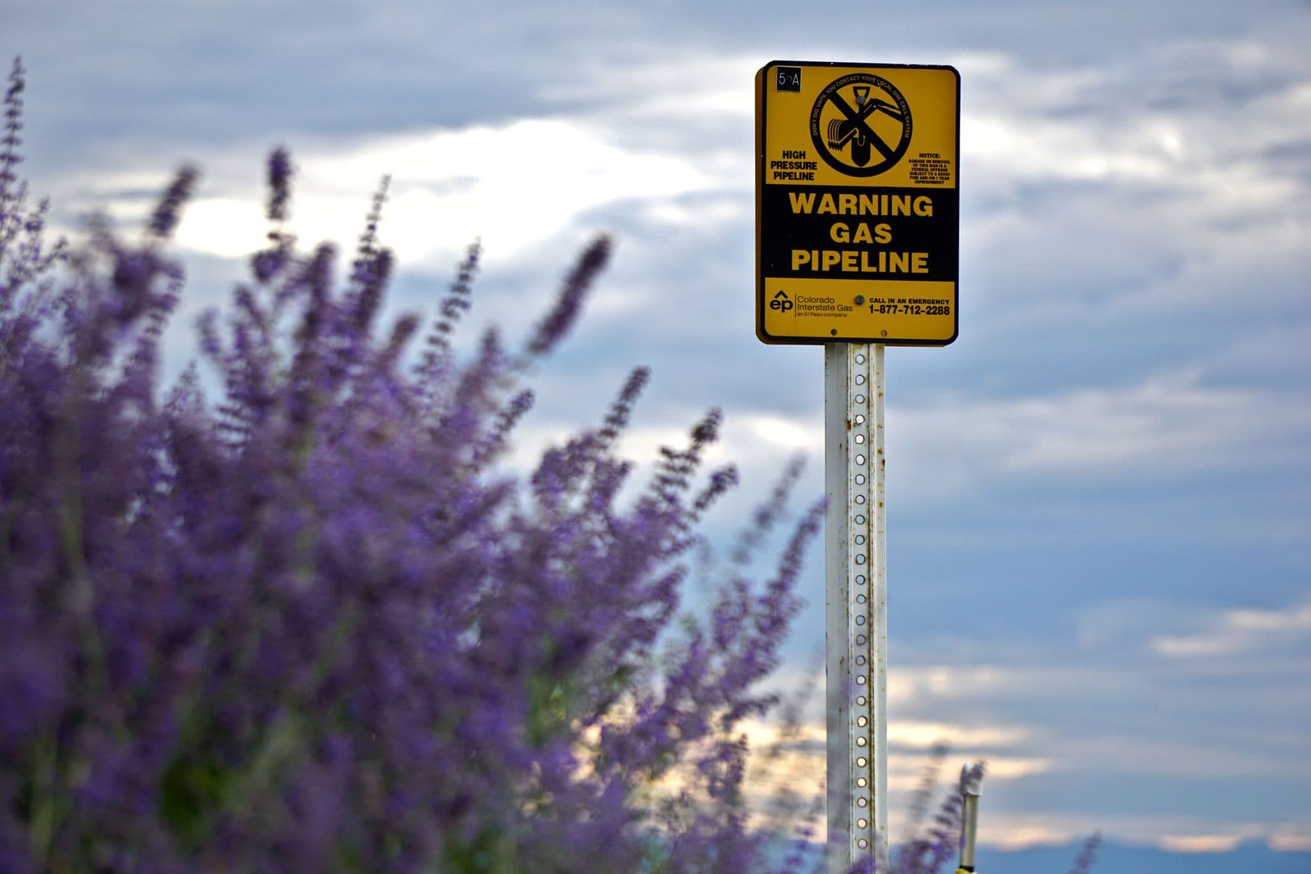 Electrification's Paradox: Cheap Gas vs. Clean Power