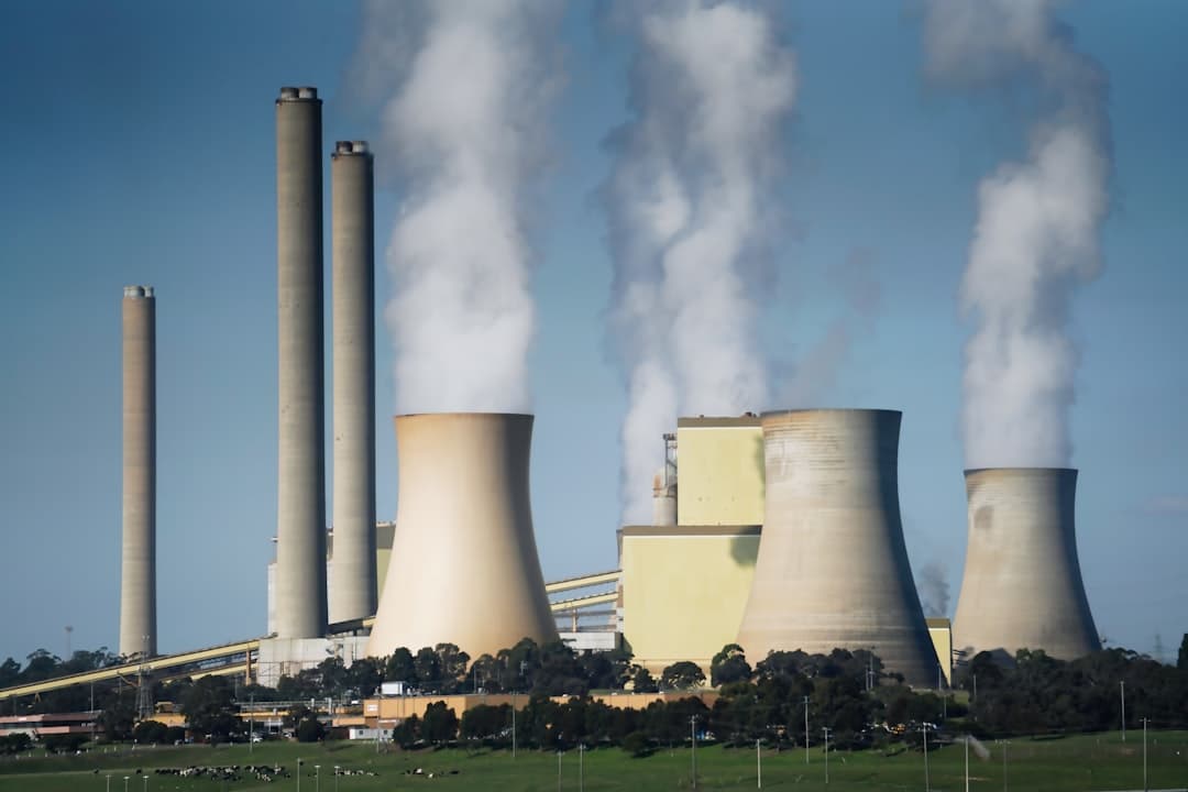 India's Energy Austerity Gamble
