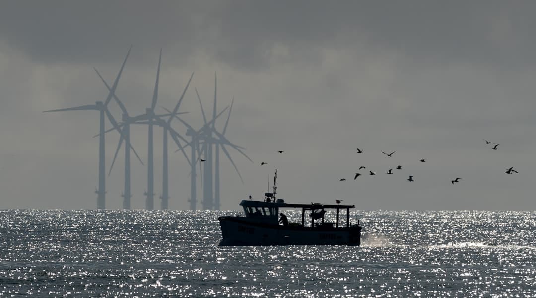 Renewables Hit a Bureaucracy Wall