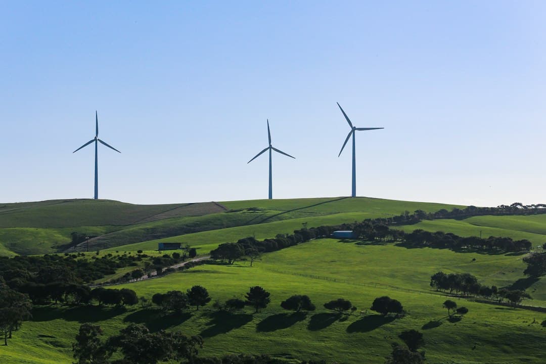 Renewables Move On Without Washington