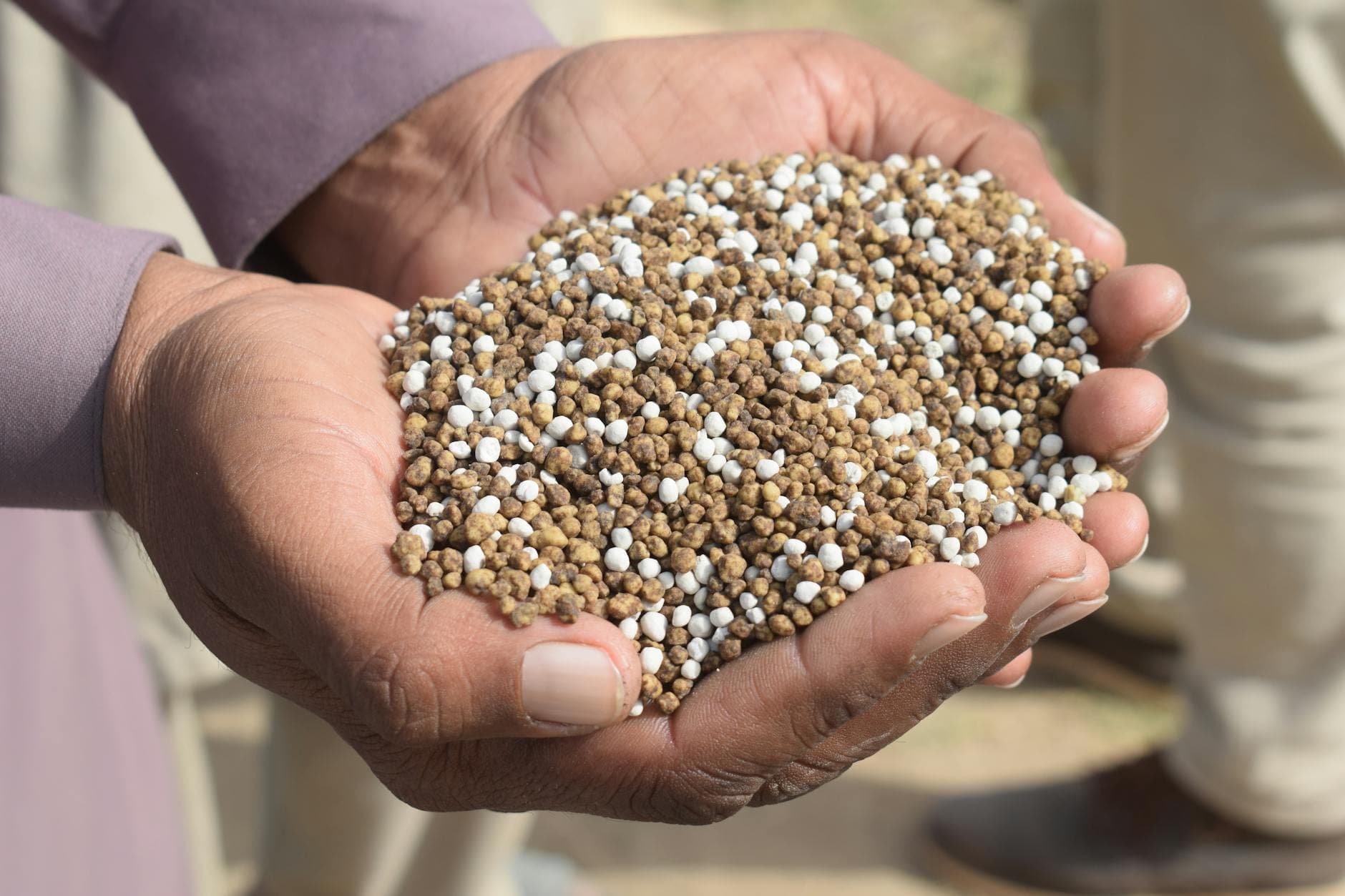 The Hormuz Ripple: Fertilizer, Not Oil