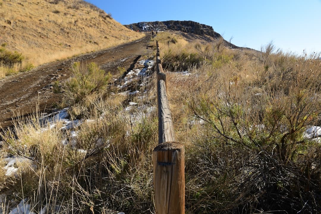 Who Owns the Ground Beneath the Boom?
