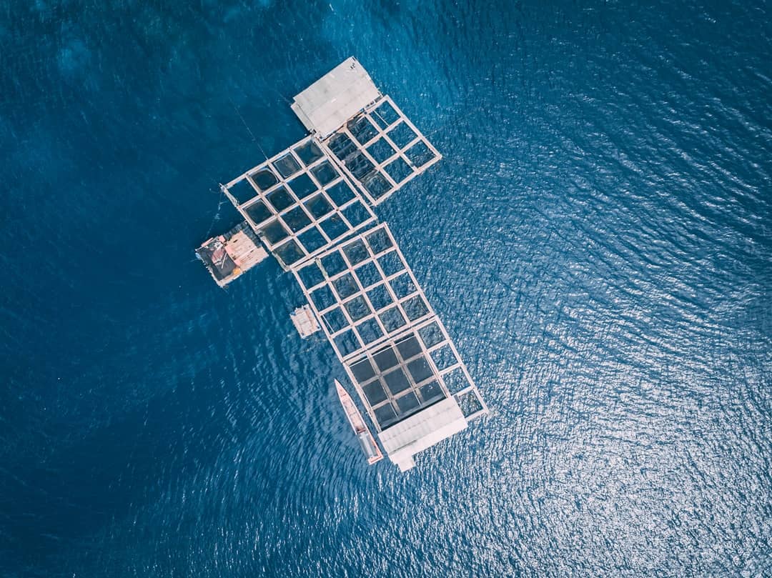 Solar Surges as Storage Becomes Grid's New Backbone...